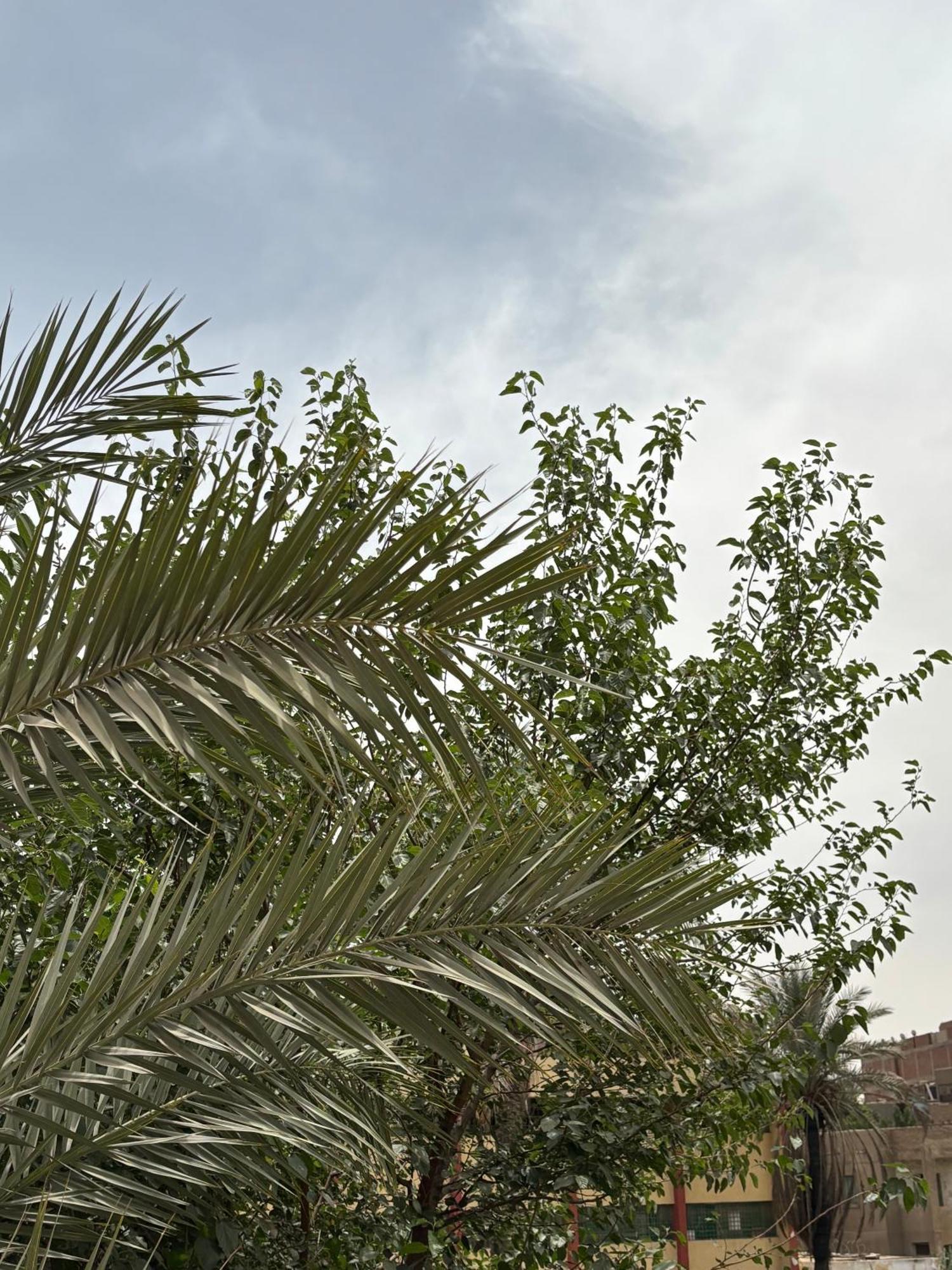 Master Pyramids Hotel Al Kawm al Akhdar Dış mekan fotoğraf