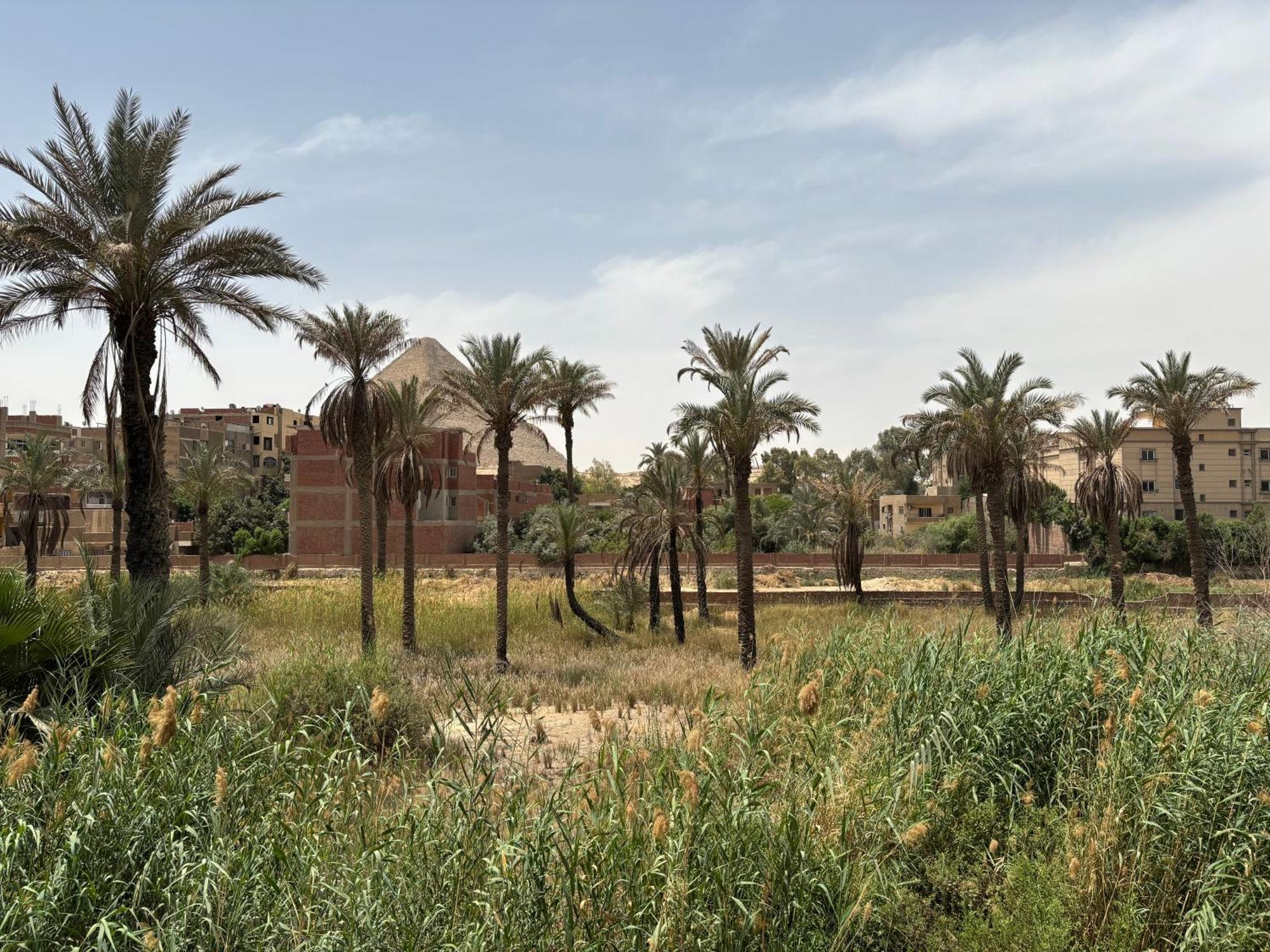 Master Pyramids Hotel Al Kawm al Akhdar Dış mekan fotoğraf